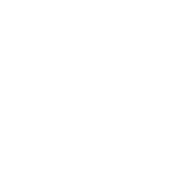 Securex NVR